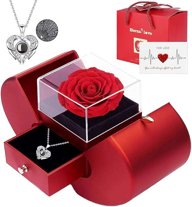 Preserved Real Rose with I love you Necklace 100 Languages, Gifts for Girlfriend, Women, Mom, Wife, Gifts Idea on Christmas, Valentine's Day, Mother's Day, Birthday, Anniversary, Thanksgiving - Image 1
