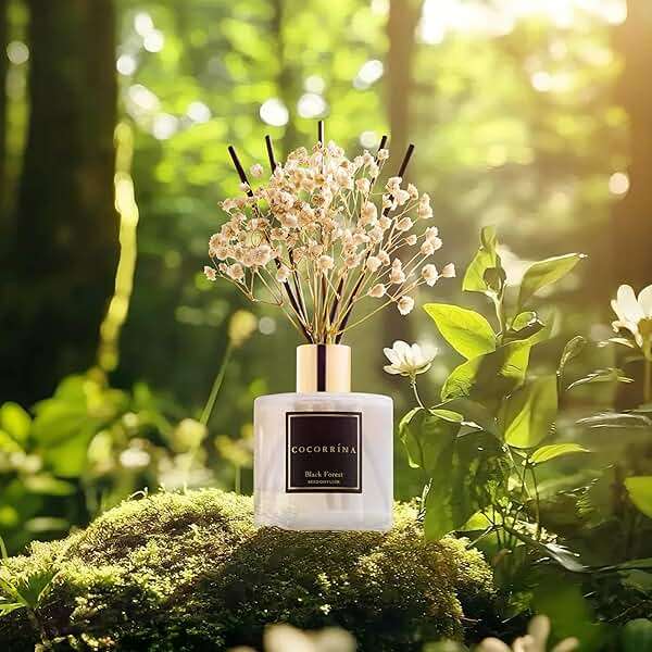 Cocorrína Reed Diffuser Sets, 6.7 fl oz. Black Forest Diffuser with Sticks Home Fragrance Reed Diffuser for Bathroom Shelf Decor - Image 4