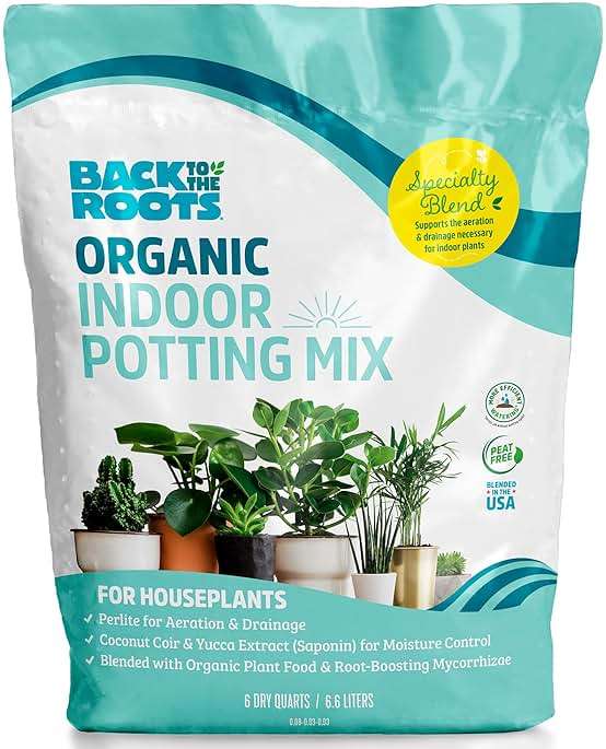 Back to the Roots 100% Organic Indoor Potting Mix (6 Quart), Promotes Healthy Houseplant Growth, Made in The USA - Image 1