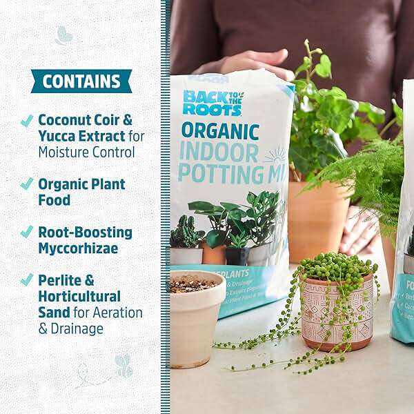 Back to the Roots 100% Organic Indoor Potting Mix (6 Quart), Promotes Healthy Houseplant Growth, Made in The USA - Image 5