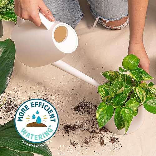 Back to the Roots 100% Organic Indoor Potting Mix (6 Quart), Promotes Healthy Houseplant Growth, Made in The USA - Image 6