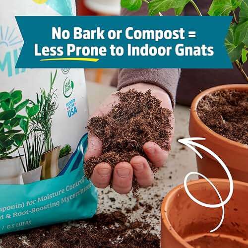 Back to the Roots 100% Organic Indoor Potting Mix (6 Quart), Promotes Healthy Houseplant Growth, Made in The USA - Image 7