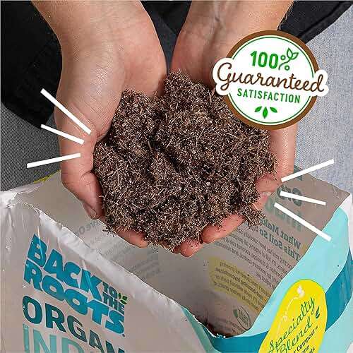 Back to the Roots 100% Organic Indoor Potting Mix (6 Quart), Promotes Healthy Houseplant Growth, Made in The USA - Image 8