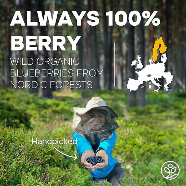 Wild Blueberry Powder Organic 5 Ounce Bag USDA Certified & 3rd Party Lab Tested - Antioxidant Rich Smoothies Freeze Dried Blueberries Organic Blueberry Extract for Baking From Whole Dried Blueberries - Image 2