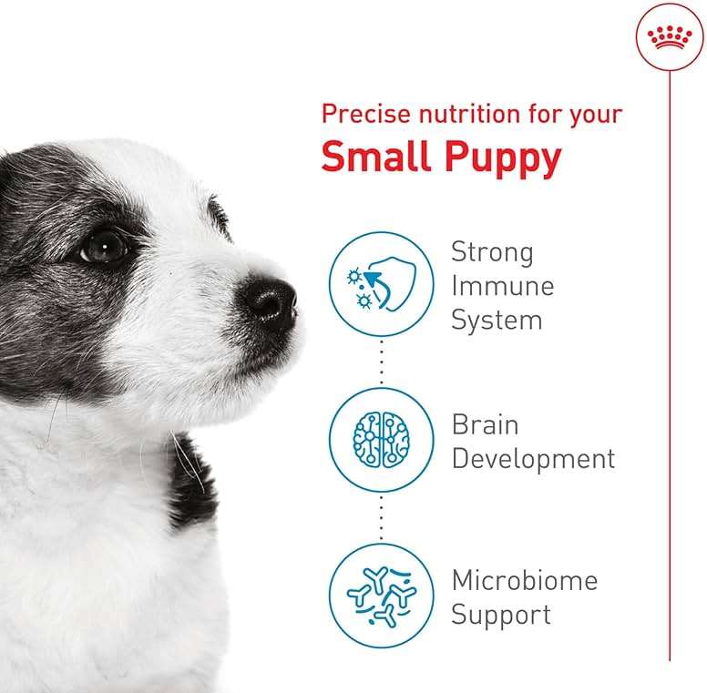 Royal Canin Size Health Nutrition Small Puppy Dry Dog Food, 14 lb Bag - Image 5
