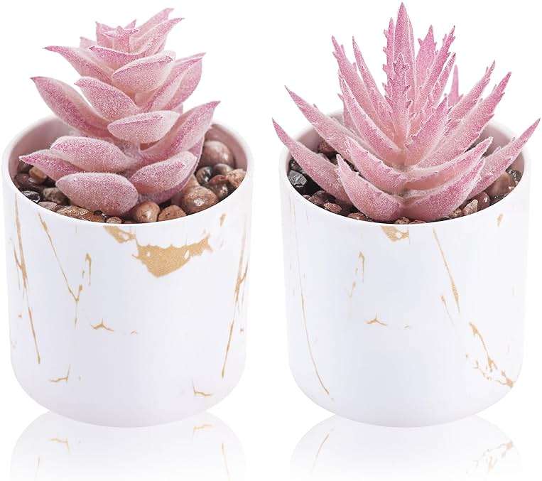 Der Rose Set of 2 Succulents Plants Artificial Mini Fake Succulents Plants for Office Desk Accessories for Women Pink Home Vanity Decor - Image 1