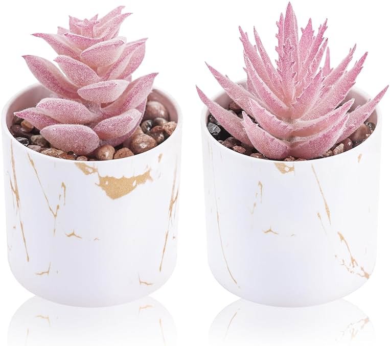 Der Rose Set of 2 Succulents Plants Artificial Mini Fake Succulents Plants for Office Desk Accessories for Women Pink Home Vanity Decor - Product Image