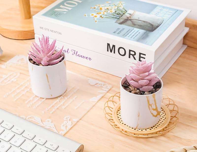 Der Rose Set of 2 Succulents Plants Artificial Mini Fake Succulents Plants for Office Desk Accessories for Women Pink Home Vanity Decor - Image 2