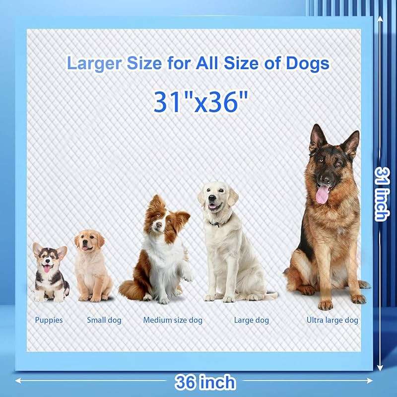 Extra Large Dog Pee Pads, 60 Pads 31"x36" Disposable Training Pads, Puppy Pads with high Absorbency and Leak-Proof Protection for House Training Cats,Rabbits,Dogs Leak-Proof Dog Pee Pads Extra Large - Image 2