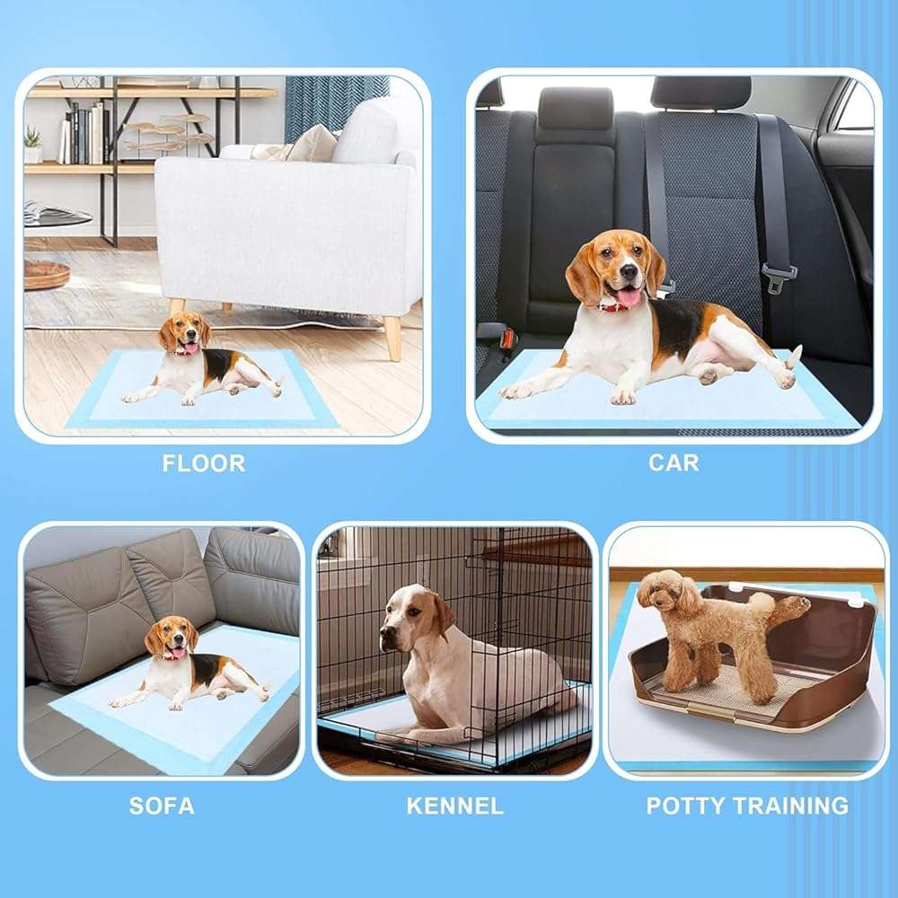 Extra Large Dog Pee Pads, 60 Pads 31"x36" Disposable Training Pads, Puppy Pads with high Absorbency and Leak-Proof Protection for House Training Cats,Rabbits,Dogs Leak-Proof Dog Pee Pads Extra Large - Image 4