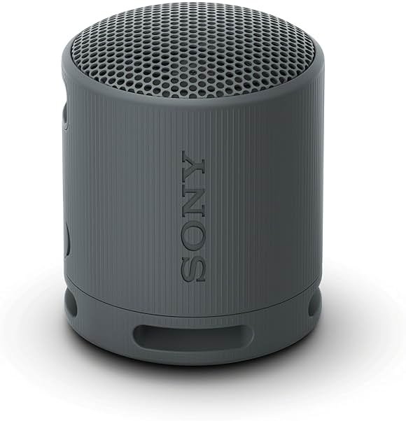 Sony SRS-XB100 Wireless Bluetooth Portable Lightweight Super-Compact Travel Speaker, Durable IP67 Waterproof & Dustproof Shower Speaker, 16 Hour Battery, Versatile Strap, & Hands-free Calling, Black - Product Image