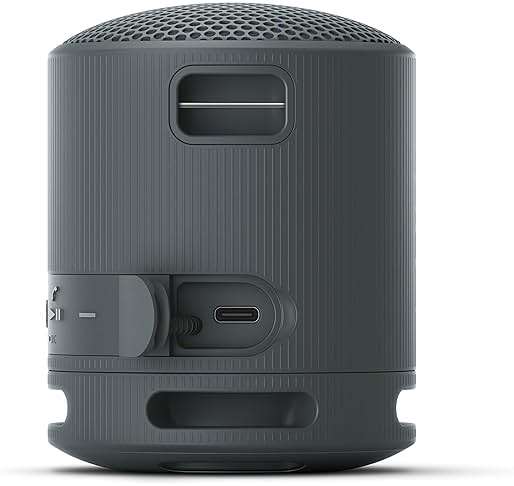 Sony SRS-XB100 Wireless Bluetooth Portable Lightweight Super-Compact Travel Speaker, Durable IP67 Waterproof & Dustproof Shower Speaker, 16 Hour Battery, Versatile Strap, & Hands-free Calling, Black - Image 8