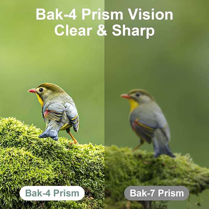DRANBOL 12X25 Mini Pocket Binoculars for Adults Kids, Small Compact Binoculars for Bird Watching, Opera Concert - Image 3