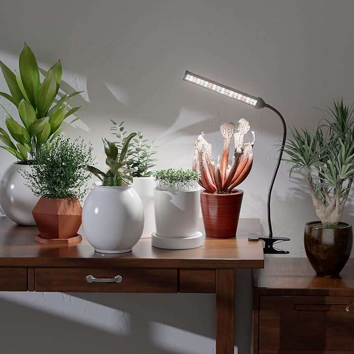 GooingTop Grow Light for Indoor Plants Growing,5000K White Full Spectrum Gooseneck Plant Lamp with Red Blue LED Clip Desk for Pot Plant Seed Starting,Dimmable with Auto Timer - Image 7