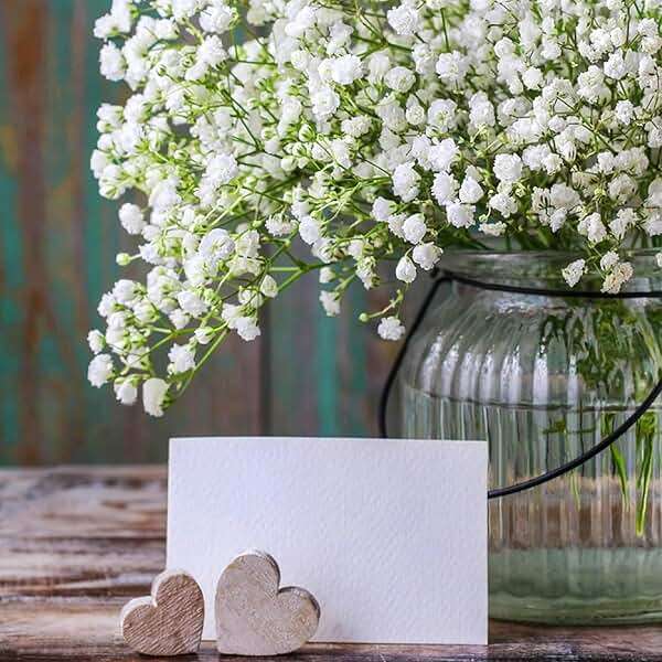 Sukh 10PCS Baby Breath Artificial Flowers Fake Babys Breath Gypsophila Flowers Bulk Realistic Artificial Flowers Bouquet Flores Artificiales para Decoracion for Wedding Party Home Decoration - Image 2