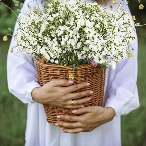 Sukh 10PCS Baby Breath Artificial Flowers Fake Babys Breath Gypsophila Flowers Bulk Realistic Artificial Flowers Bouquet Flores Artificiales para Decoracion for Wedding Party Home Decoration - Image 7