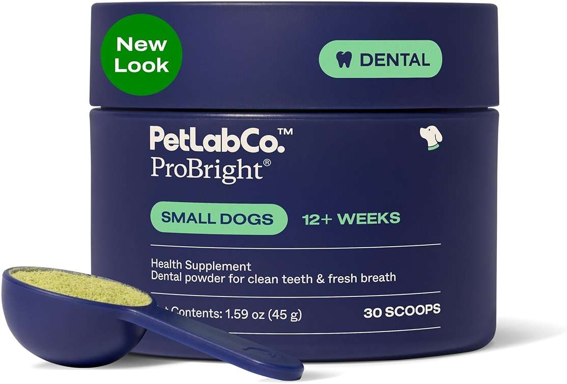 PetLab Co. ProBright Dental Powder - Dog Breath Freshener - Teeth Cleaning Made Easy – Targets Tartar & Bad Breath - Formulated for Small Dogs - Packaging May Vary - Image 1