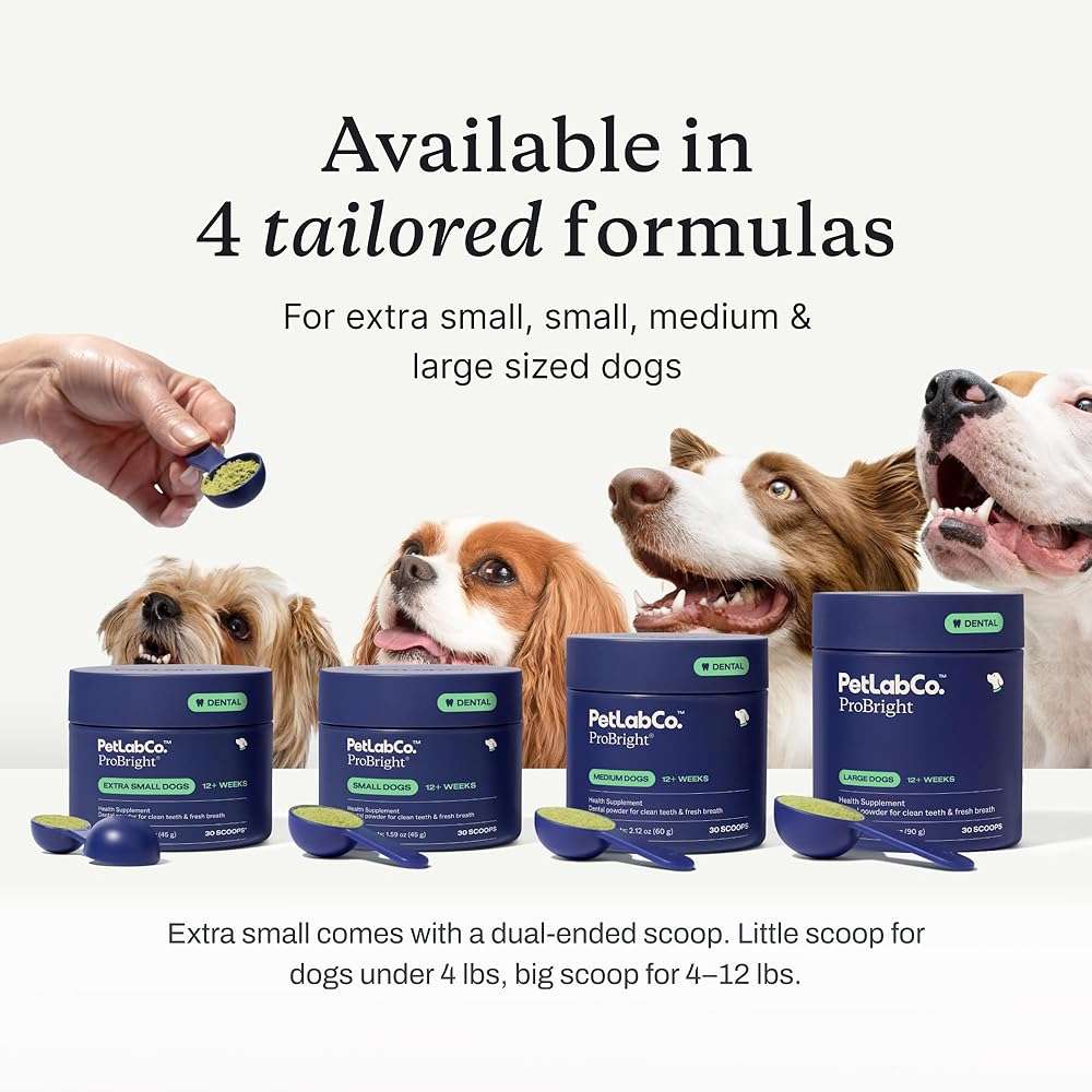 PetLab Co. ProBright Dental Powder - Dog Breath Freshener - Teeth Cleaning Made Easy – Targets Tartar & Bad Breath - Formulated for Small Dogs - Packaging May Vary - Image 4
