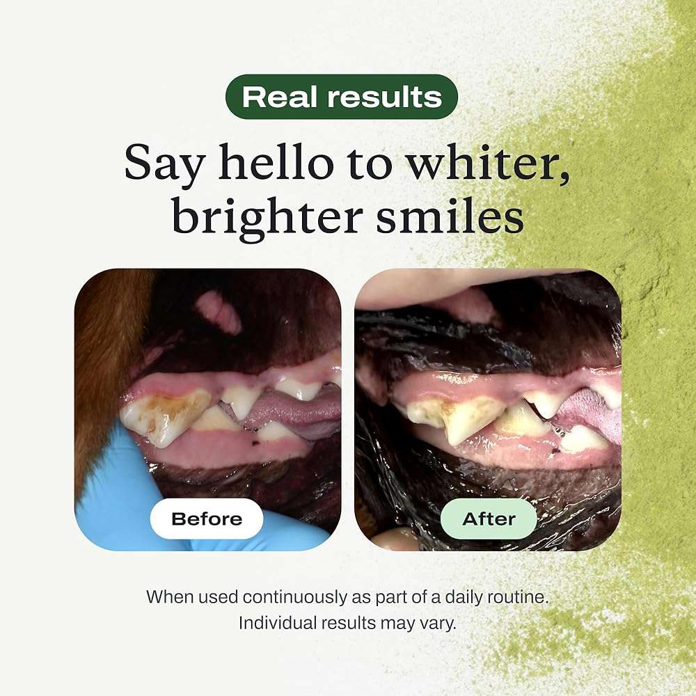 PetLab Co. ProBright Dental Powder - Dog Breath Freshener - Teeth Cleaning Made Easy – Targets Tartar & Bad Breath - Formulated for Small Dogs - Packaging May Vary - Image 8