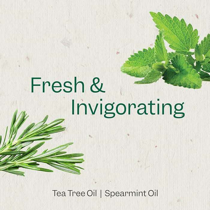 Renpure Tea Tree & Mint Body Wash - Cleanses, Invigorates & Refreshes Skin Without Over-Drying - For All Skin Types - Tea Tree Leaf Oil, Spearmint Leaf Oil - 24 Fl Oz each, 2 Pack - Image 4