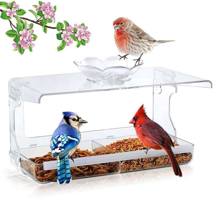 WENMIXER Window Bird Feeder with Non-Marking Self-Adhesive Hooks, Clear and Transparent, Outdoor Wild Bird Watching Gift, Garden Decor (Standard) - Image 1