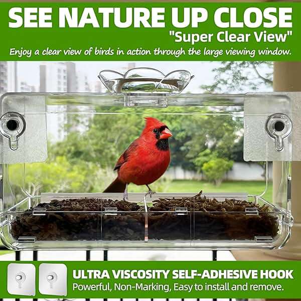 WENMIXER Window Bird Feeder with Non-Marking Self-Adhesive Hooks, Clear and Transparent, Outdoor Wild Bird Watching Gift, Garden Decor (Standard) - Image 3