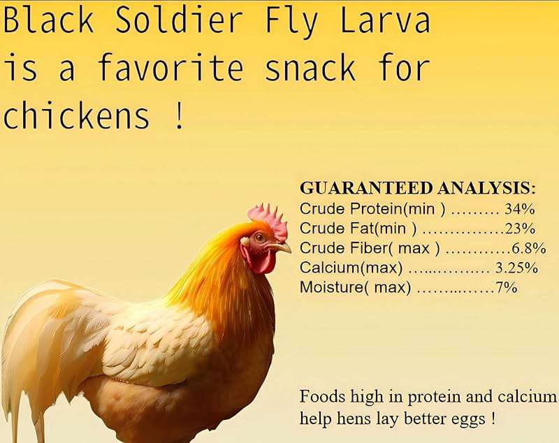 Classic Flock 11 lb Black Soldier Fly Larva - BSFL is a high Calc-Rich Chicken Feed with More Calcium Than mealworms.It is a Pure Natural Food that Provides high Protein for Chickens and Birds - Image 2