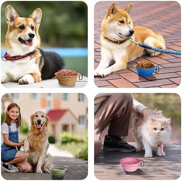 PetBonus 2-Pack Silicone Collapsible Dog Bowls, BPA Free Dishwasher Safe, Portable Foldable Expandable Travel Bowl, Food Water Feeding Cup Dish for Dogs Cats with 2 Carabiners (Purple, Pink) - Image 6
