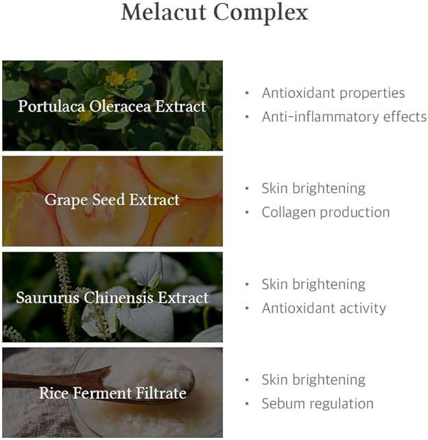 Dr.Althea 15% Niacinamide Purity Serum - 15% Niacinamide included, Overall skintone and texture improvement, Pore care, Serum control with Zinc. Vegan formula, Korean skincare - Image 5
