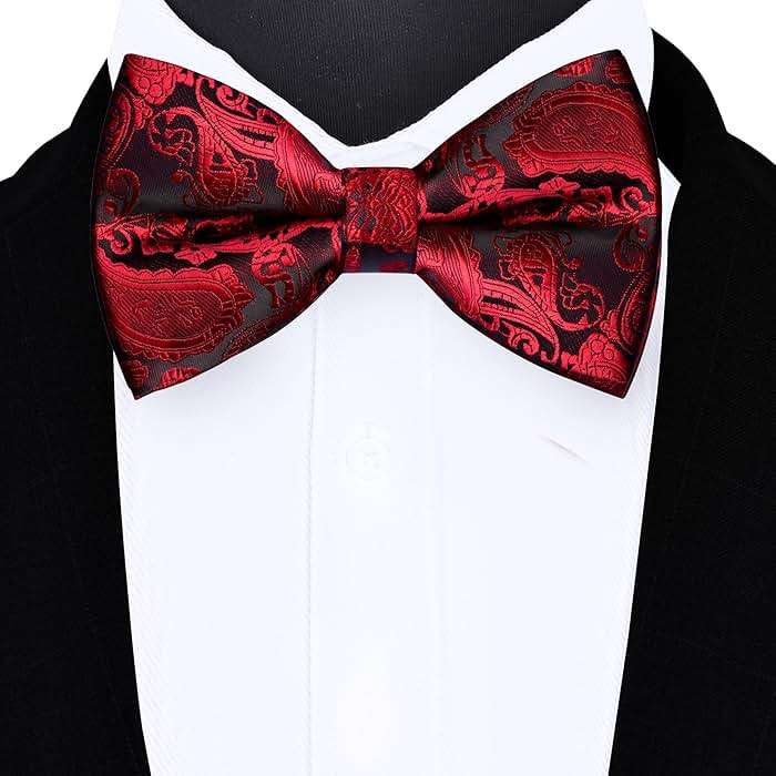 GUSLESON Mens Paisley Bow Tie Handkerchief Jacquard Woven Adjustable Pre-Tied Bowties Pocket Square Cufflinks Set - Image 2