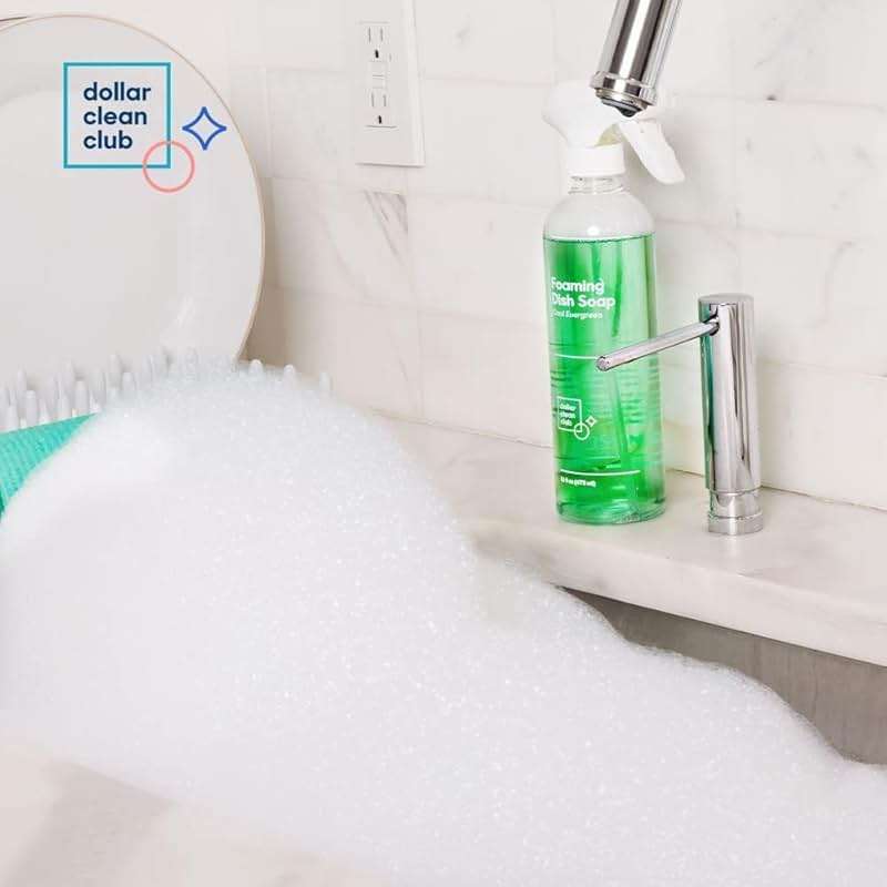 DOLLAR CLEAN CLUB Complete Home Cleaning 15 Pack Kit, Kitchen, Bathroom, Carpet, Dish, and Glass Cleaner Refills - Image 5