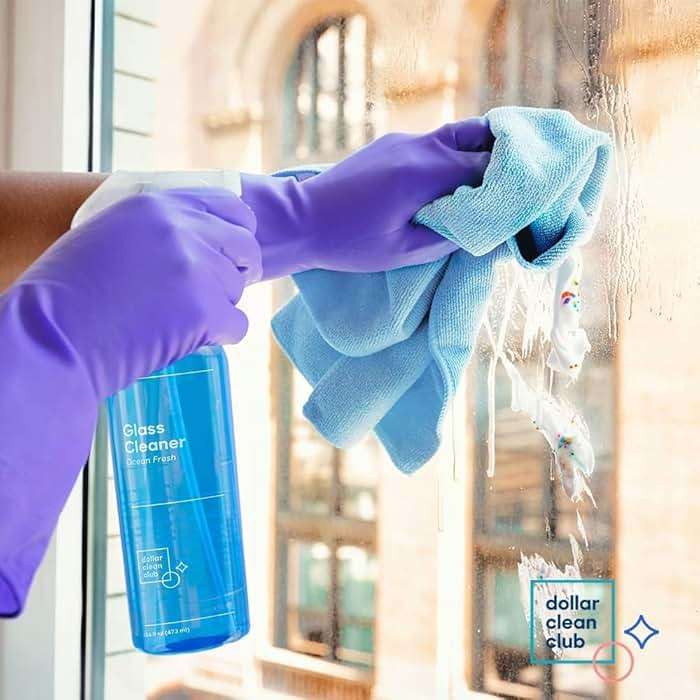 DOLLAR CLEAN CLUB Complete Home Cleaning 15 Pack Kit, Kitchen, Bathroom, Carpet, Dish, and Glass Cleaner Refills - Image 7