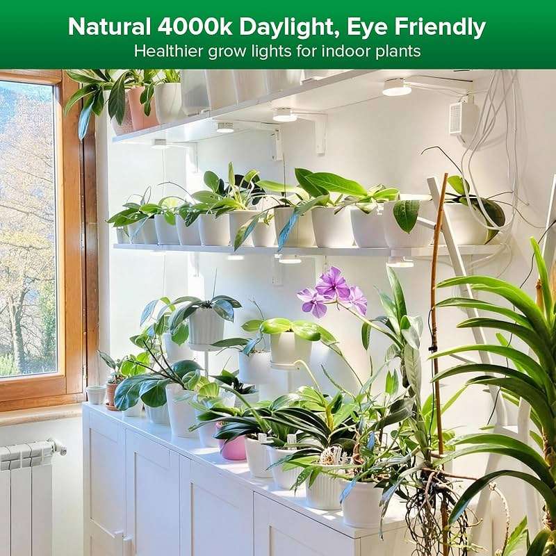 SANSI Puck Grow Light, LED Plant Light for Indoor Plants Full Spectrum Grow Lamp 10W (150 Watt Equiv), Small Hanging Plant Lamp with Timer Auto On Off 4 8 12 Hrs, 4-Level Dimmable for Plant Shelf - Image 6