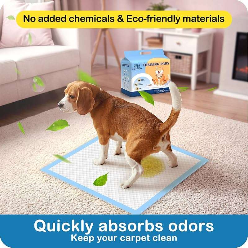 MoMoCo Puppy Pads 23" x 23", 6-Layer Super Absorbent Dog Pee Pads, Leak-Proof Dog Training Pads for Hardwood Floors & Apartments, Flash-Dry Disposable Potty Pads for Puppies & Senior Dogs, 100 Count - Image 4