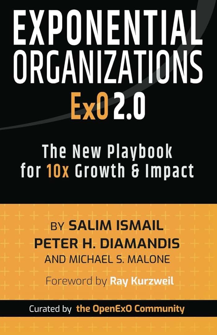 Exponential Organizations 2.0: The New Playbook for 10x Growth and Impact - Product Image