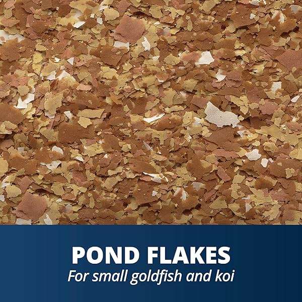 Tetra Pond Flakes Complete Nutrition for Smaller Pond Fish, Goldfish and Koi Fish, 2.2 Pounds - Image 4