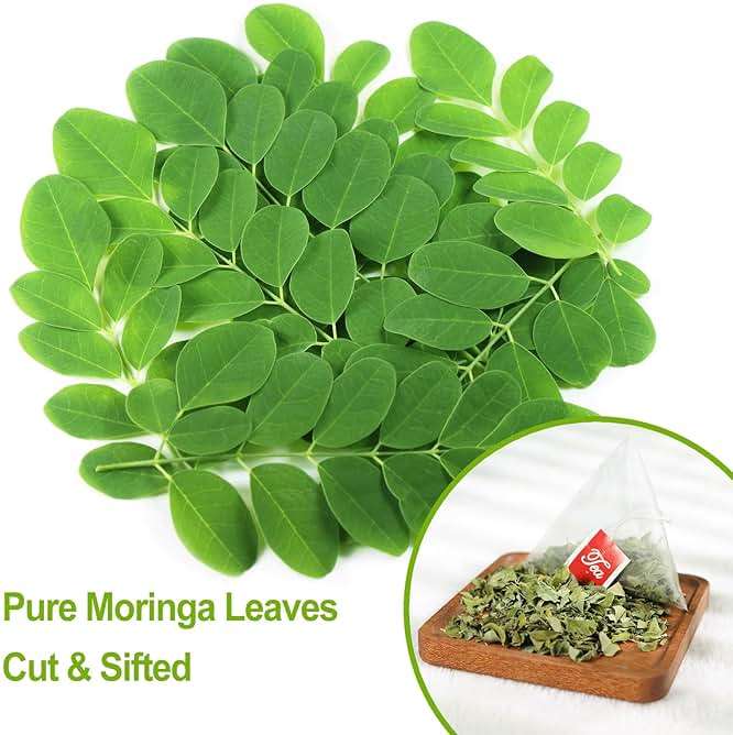 FullChea - Moringa Tea, 50 Teabags - Pure & Natural Moringa Leaves, Cultivated From India - Herbal Tea for Supporting Digestion & Immune System - Non-GMO - Caffeine-free - Image 3