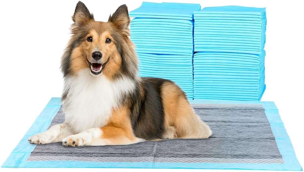 FluffyDream Super-Absorbent Waterproof Dog and Puppy Pet Training Pad, Housebreaking Pet Pad, 100-Count Small-Size, 22"x22", Blue, Scented - Image 1