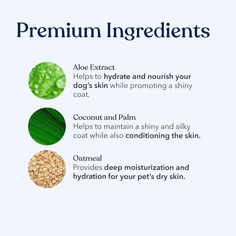 Honest Paws Dog Shampoo and Conditioner - Premium Dog Wash for Allergies and Dry, Itchy, Moisturizing for Sensitive Skin - Sulfate Free, Plant Based, All Natural - Oatmeal & Lavender - 16 Fl Oz - Image 3