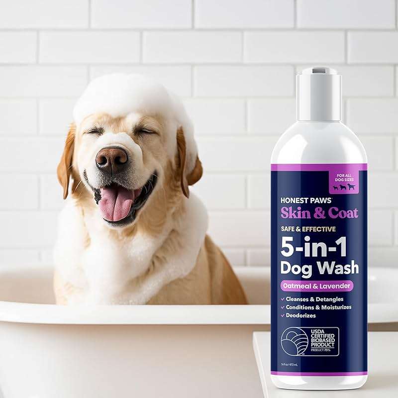 Honest Paws Dog Shampoo and Conditioner - Premium Dog Wash for Allergies and Dry, Itchy, Moisturizing for Sensitive Skin - Sulfate Free, Plant Based, All Natural - Oatmeal & Lavender - 16 Fl Oz - Image 9