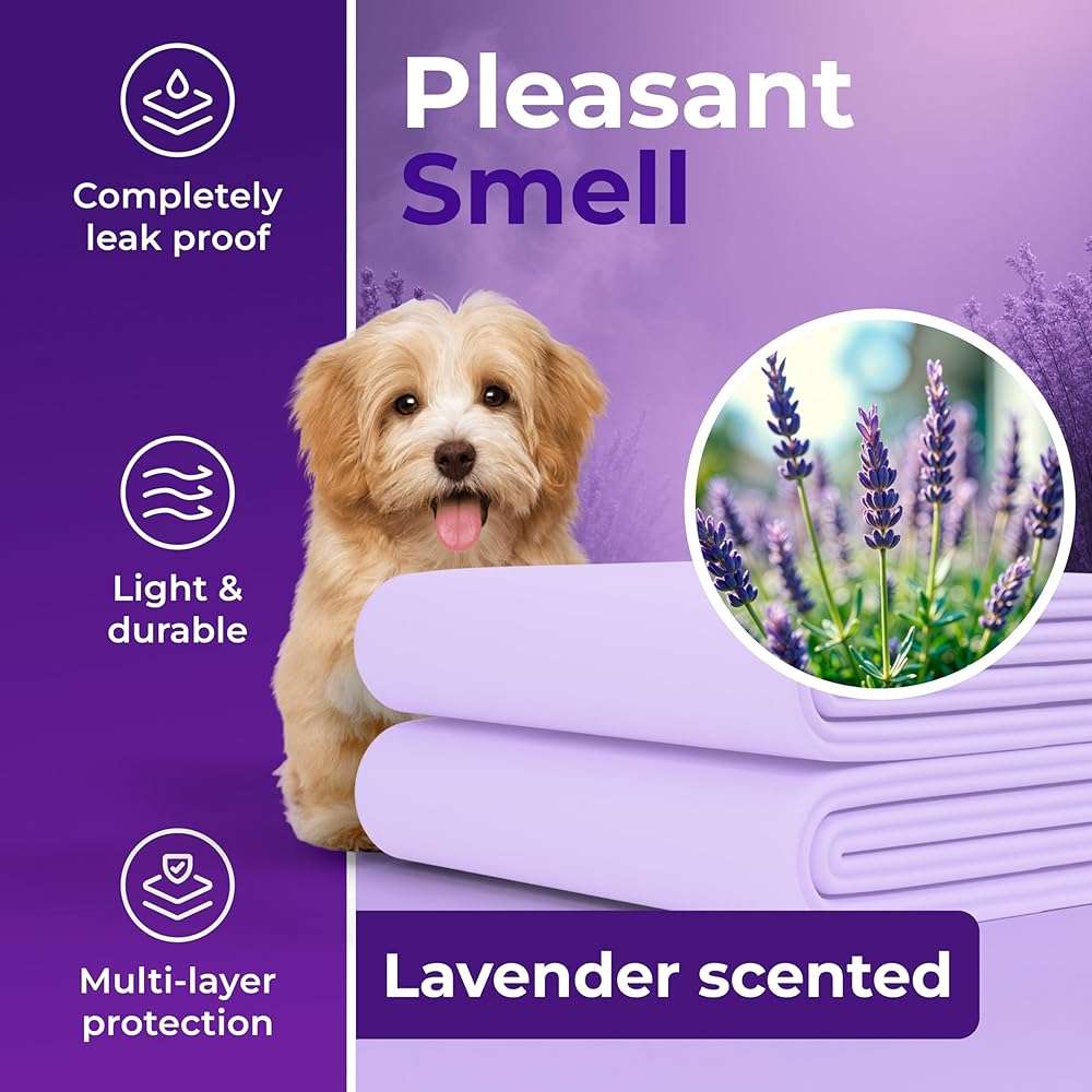 GREEN LIFESTYLE Pee Pads - Super Absorbent & Leak-Proof Pee Pads for Dogs - Puppy Pads - Waterproof Dog Pads, Dog Training Pads for Cats, Rabbits (Pack of 80 - 22x22) - Image 2