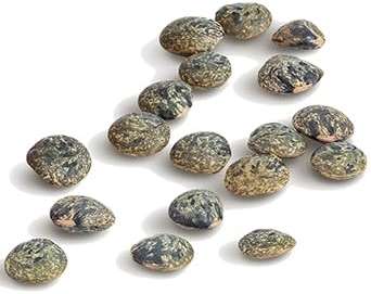 Straight from France Genuinely French, Non GMO Certified French Green Lentils, All Natural Dry Lentils, Rich in Plant Based Protein and Dietary Fibers 14.5 Oz - Image 6