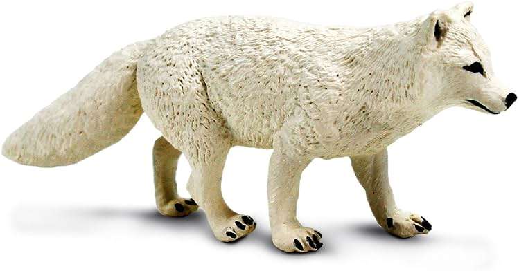 Safari Ltd. Arctic Fox Toy Figure | North American Wildlife Collection | Non-Toxic and BPA Free | Toy Animals | Suitable for Ages 3 and Up - Image 1