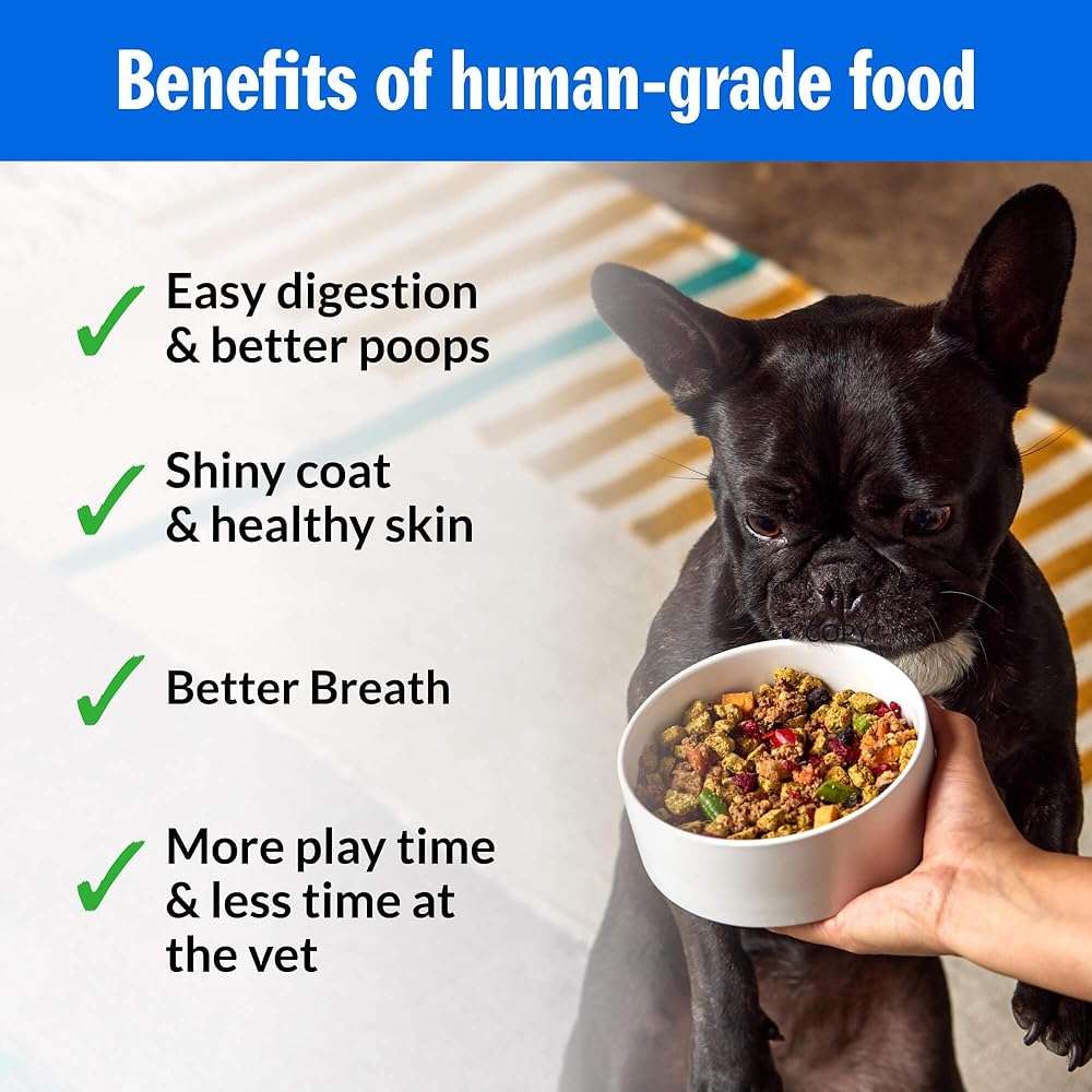 PetPlate Roost Rulin' Chicken FreshBaked Dry Dog Food, Gently Baked and Air-Dried Human Grade Dog Food, Formulated with Prebiotics and Postbiotics, Grain Free, No Fillers or by-Products 2lbs - Image 4