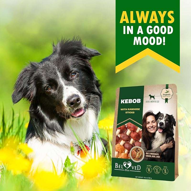 Beloved Pets Dog Treats Rawhide Kabobs with Duck & Chicken Human Grade Meat 10.6 Oz - All Natural & Dried Snacks - Grain Free Long Lasting Chews for Large & Small Dogs - Best Sticks for Training - Image 8
