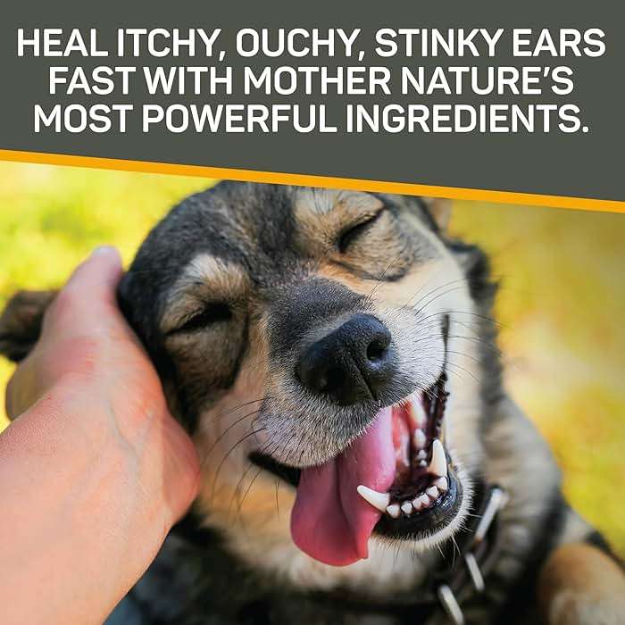 Absorbine Silver Honey Rapid Ear Care Vet Strength Concentrated Doses, 5 Ear Drops for 10 Days on 1 Ear for Dogs & Cats, Medical Grade Manuka Honey & MicroSilver BG - Image 6