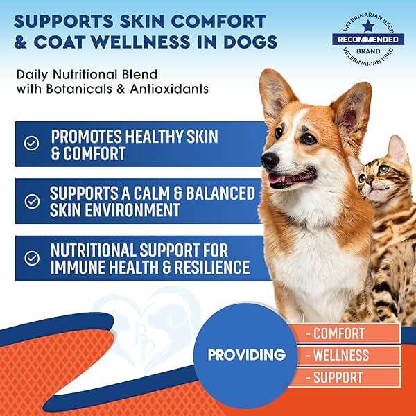 Natural Cats & Dogs Yeast Infection Anti Itch Treatment - Itchy Ears, Skin & Allergy Symptoms Relief - Reduces Inflammation & Relieves Irritation - Herbal Medicine Supplement Drops - Image 2