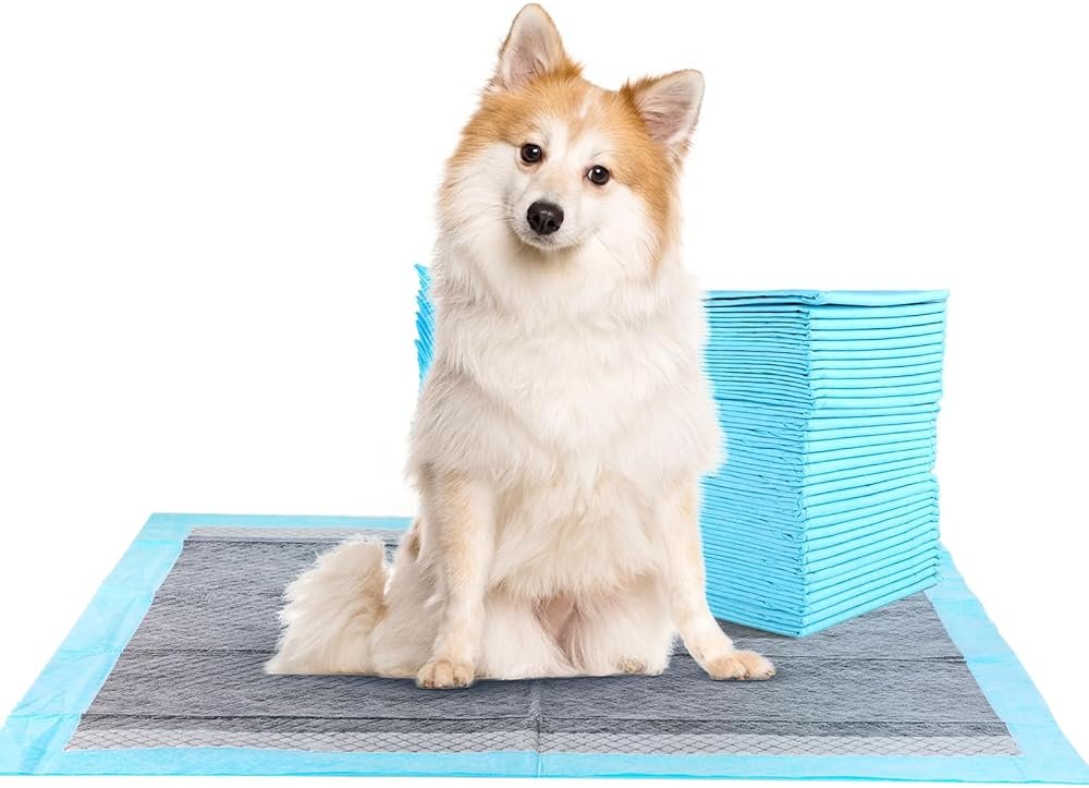 FluffyDream Super Absorbent Waterproof Dog and Puppy Pet Training Pad, Housebreaking Pet Pad,Blue (22"x22"Odor Control, Scented (100PCS)) - Product Image