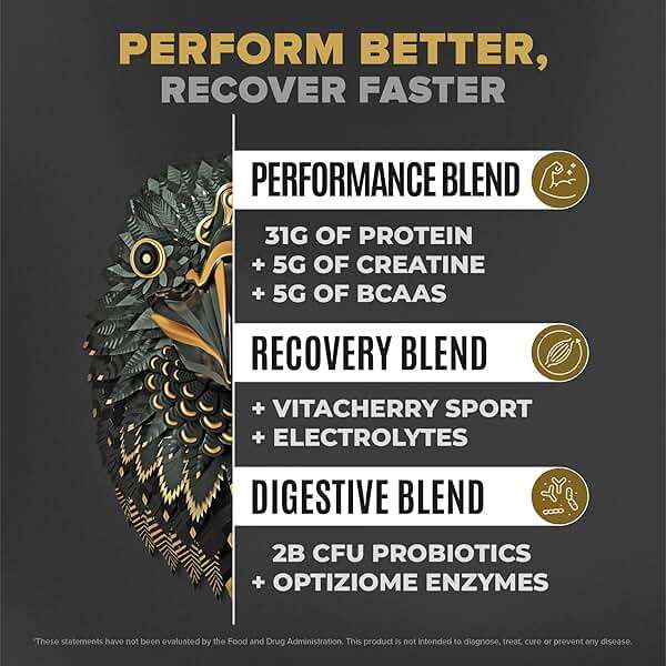 BIRDMAN Falcon Performance Vegan Protein Powder, 31g Protein, 5g Creatine, 5g BCAA, Probiotics, Electrolytes, Pre Workout, Low Carb, Sugar Free & Dairy Free, Plant Based Vanilla Protein -19 Servings - Image 2
