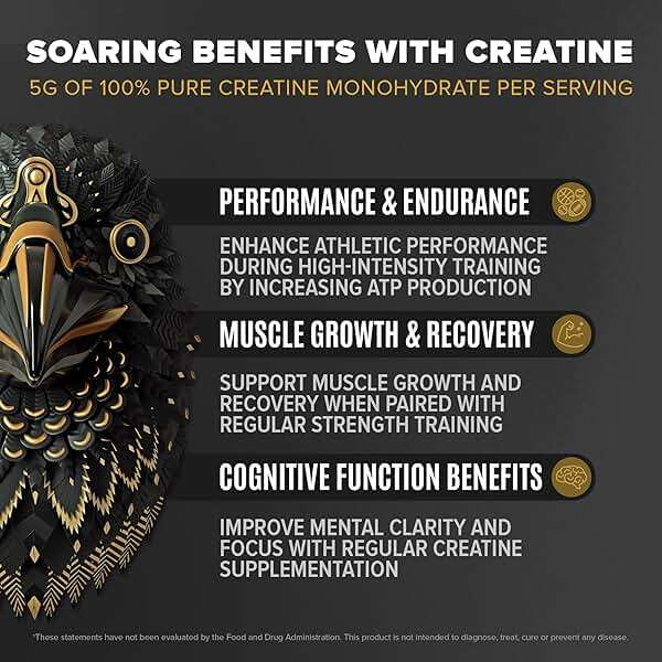 BIRDMAN Falcon Performance Vegan Protein Powder, 31g Protein, 5g Creatine, 5g BCAA, Probiotics, Electrolytes, Pre Workout, Low Carb, Sugar Free & Dairy Free, Plant Based Vanilla Protein -19 Servings - Image 5